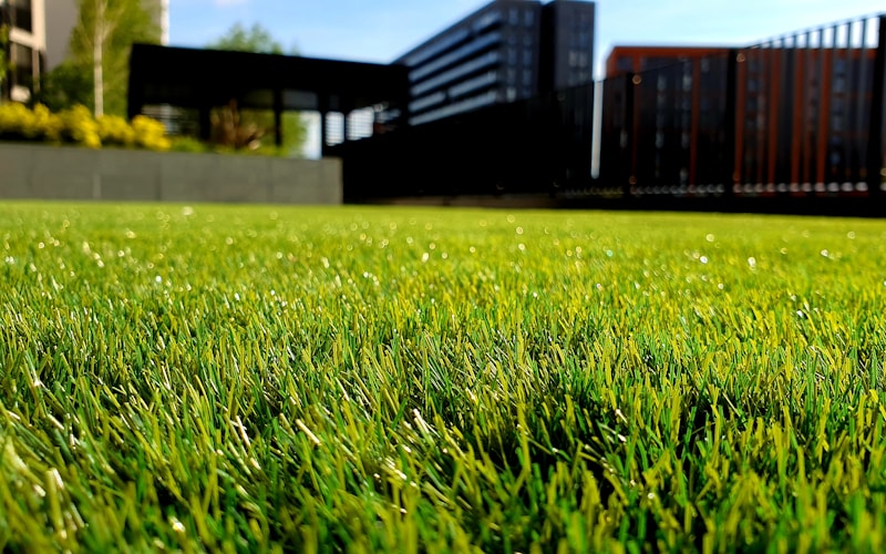 How Often Should You Mow Your Lawn in the GTA? The Complete Guide